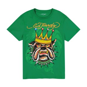 Koszulki Ed Hardy Bulldog Tee Męskie Zielone | KAIFBN971