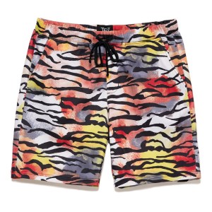 Spodnie Ed Hardy Tiger Print Short Męskie Kolorowe | CZPYIH296