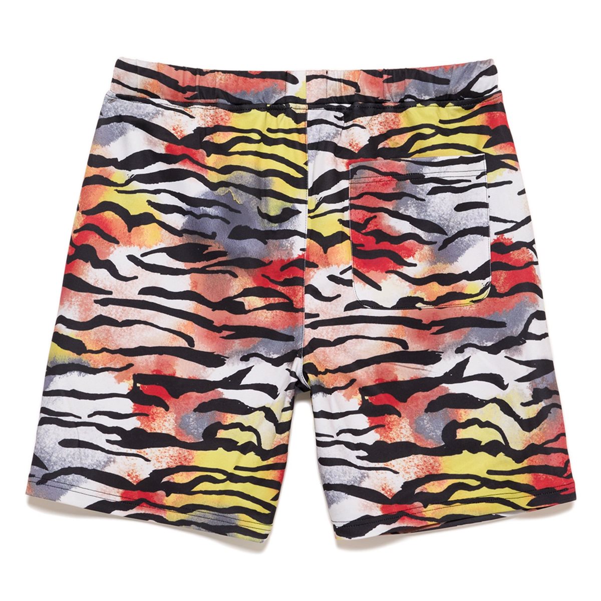 Spodnie Ed Hardy Tiger Print Short Męskie Kolorowe | CZPYIH296
